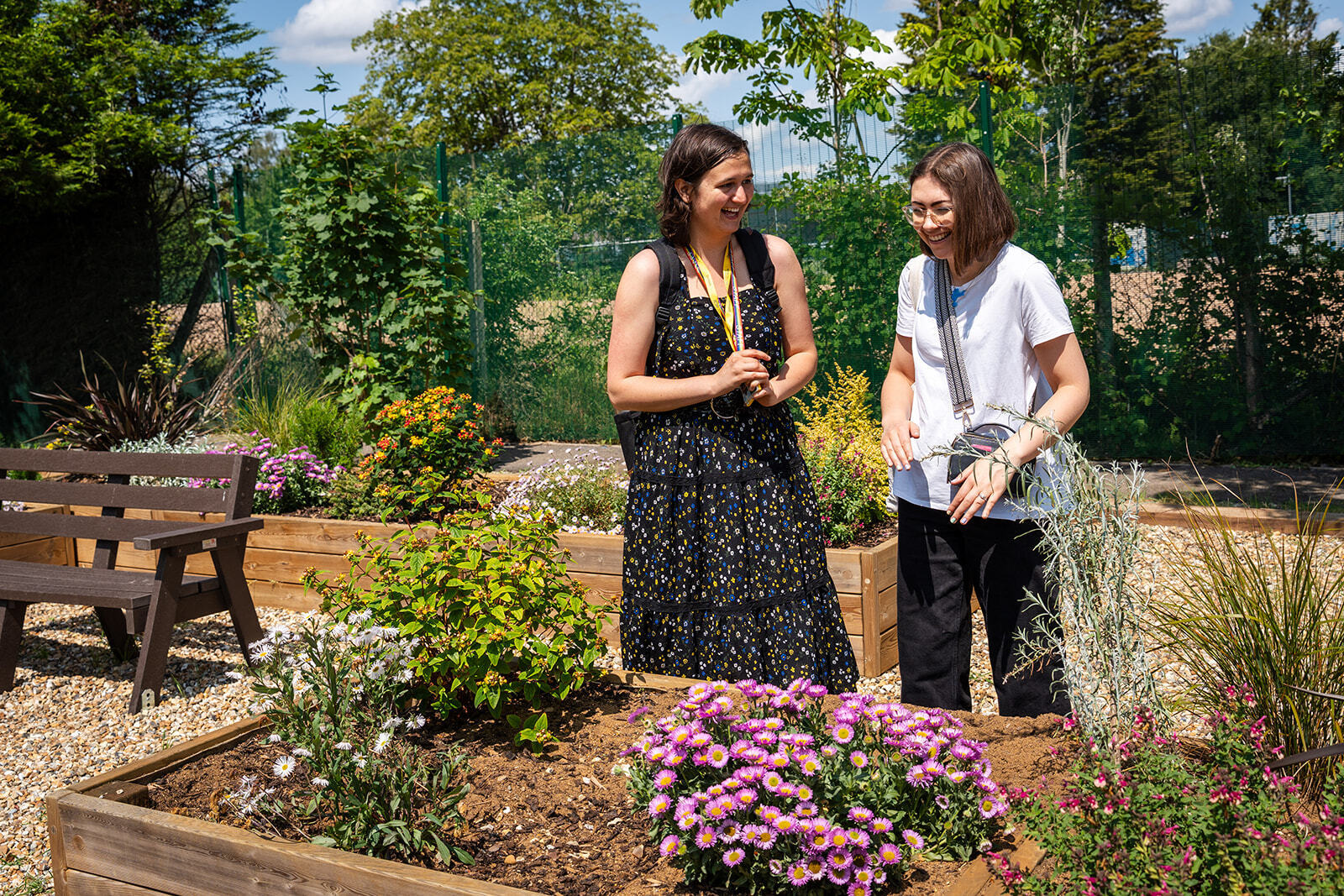 the garden at Innovation Gateway, in the London Cancer District
